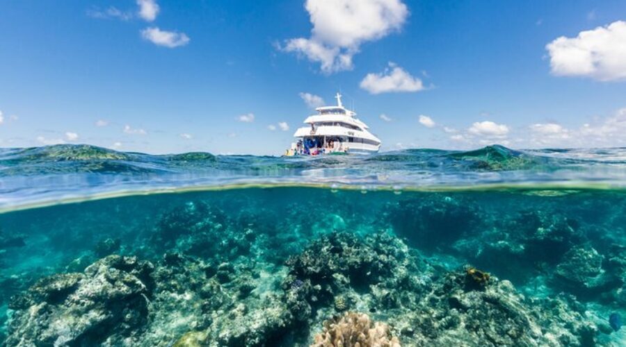 Liveaboard Cairns Reef Experiences